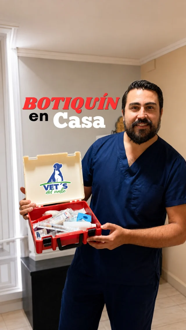 ¿Tienes un botiquín de primeros auxilios para tu mascota? 🐶🐱

En una urgencia, cada minuto cuenta. Por eso, tener algunos elementos básicos en casa puede ayudarte a actuar de forma más ordenada mientras contactas o acudes a tu veterinario.

Gasas, suero fisiológico, jeringas, cintas, clorhexidina, guantes, pinzas, tijeras y termómetro son algunos esenciales que pueden marcar la diferencia en una primera atención.

Recuerda: un botiquín ayuda, pero no reemplaza la evaluación de un médico veterinario. Ante heridas, fiebre, accidentes o signos de urgencia, busca atención profesional lo antes posible.

📍En Vets del Valle estamos para ayudar a tu mascota cuando más lo necesita.

#VetsDelValle #VeterinariaPuertoMontt #UrgenciasVeterinarias #MascotasChile #PrimerosAuxiliosMascotas #CuidadoAnimal #PerrosYGatos #Veterinaria #PuertoMontt #ValleVolcanes