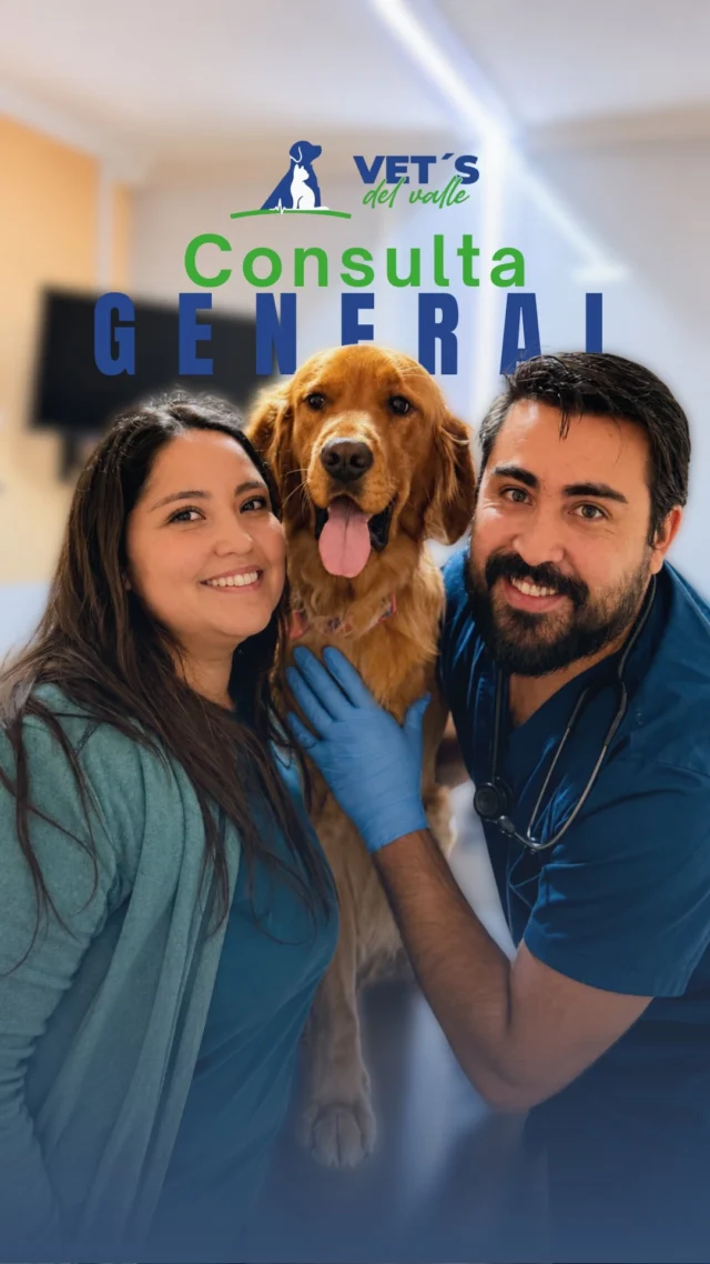En consulta, el médico veterinario evalúa distintos sistemas para detectar señales que muchas veces no son evidentes a simple vista: nariz, boca, ojos, oídos, linfonódulos, corazón, pulmones, abdomen, piel, glándulas mamarias, zona anal/genital, temperatura, patitas y uñas.
Cada detalle puede entregar información importante sobre su estado de salud, desde signos de dolor, inflamación, infecciones, alteraciones cardíacas, problemas dermatológicos o cambios que requieren seguimiento.
Por eso, aunque tu mascota parezca estar bien, una revisión completa puede marcar la diferencia.
En Vets del Valle cuidamos cada consulta con criterio médico, atención cercana y una evaluación integral de tu mascota.
📲 Agenda tu consulta y revisemos su salud a tiempo.
#VetsDelValle #VeterinariaPuertoMontt #MascotasPuertoMontt #SaludAnimal #ConsultaVeterinaria PerrosChile GatosChile MedicinaVeterinaria CuidadoDeMascotas