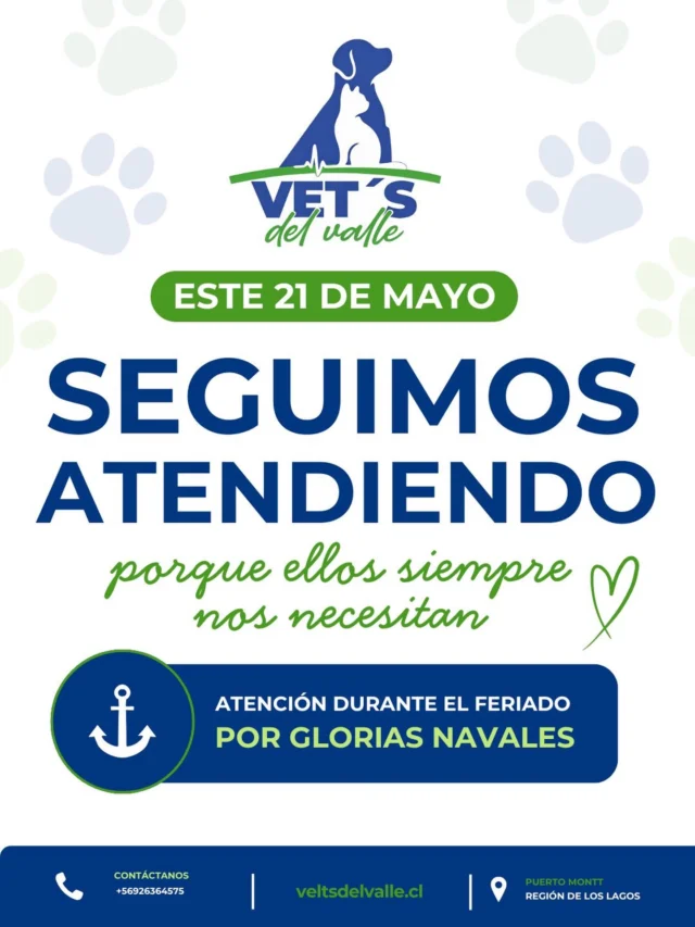 🐾 Este 21 de mayo seguimos atendiendo en Vets del Valle 🇨🇱⚓

Porque sabemos que ellos no entienden de feriados y su bienestar siempre es prioridad 💙🐶🐱

📍 Este feriado por las Glorias Navales estaremos atendiendo con normalidad, para consultas, controles, urgencias, exámenes y más.

Tu tranquilidad y la salud de tu mascota siguen siendo lo más importante para nosotros.

📞 Contáctanos para más información