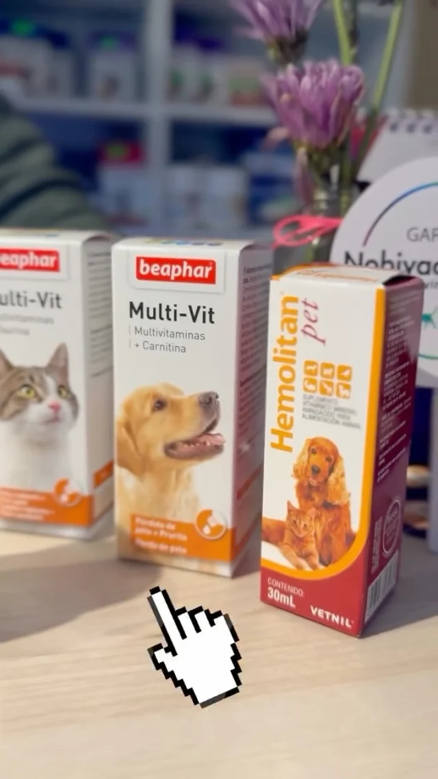 Así como nosotros cuidamos nuestra salud, ellos también pueden necesitar un apoyo extra 🐾
Los suplementos pueden ayudar en distintas etapas de la vida de tu mascota o cuando existen necesidades específicas de salud.
En Vet´s del Valle contamos con una amplia variedad de suplementos y productos para el bienestar de tu peludito. Además, al momento de tu compra podemos orientarte para elegir la mejor opción según su edad, condición y necesidades.
📍Acércate a nuestra clínica y recibe asesoría personalizada por un médico veterinario.
Porque cada mascota necesita un cuidado diferente 💙🐶🐱
#MascotasFelices #CuidadoAnimal #SuplementosParaMascotas #Veterinaria #SaludAnimal Peluditos BienestarAnimal PuertoMontt