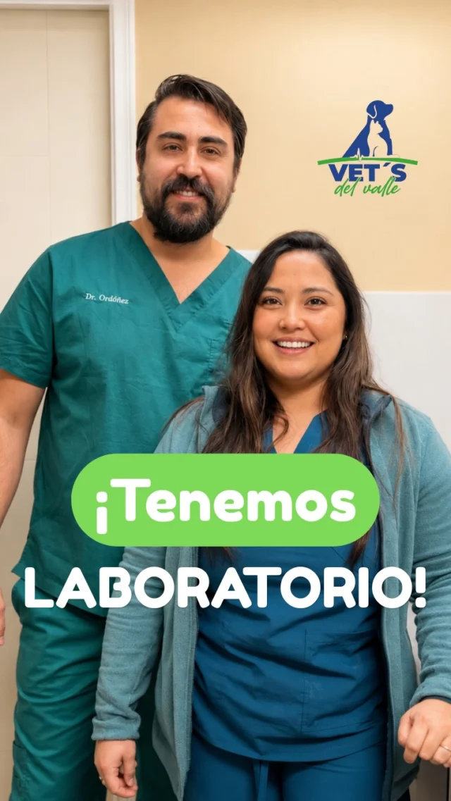 No todos los hemogramas entregan la misma información 🩸🐾

En Vets del Valle contamos con un analizador que no solo cuenta las células de la sangre, también las observa una por una mediante inteligencia artificial y microscopía digital.

Esto nos permite identificar cambios en glóbulos rojos, glóbulos blancos y plaquetas que podrían pasar desapercibidos en un hemograma convencional.

¿El resultado? Un diagnóstico más completo para tomar mejores decisiones desde el primer momento.

Porque cuando se trata de la salud de tu mascota, cada detalle importa.

📲 Agenda su chequeo en Vets del Valle y descubre cómo la tecnología puede marcar la diferencia en su atención.

#VetsDelValle #VeterinariaPuertoMontt #HemogramaVeterinario #DiagnosticoVeterinario #SaludAnimal MedicinaVeterinaria Mascotas