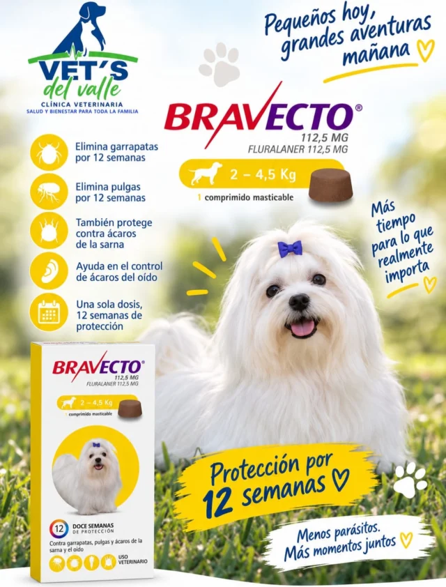 Bravecto, sirve para tratar y prevenir infestaciones de pulgas y garrapatas en perros, ofreciendo una protección prolongada de hasta 12 semanas con una sola dosis 🫶🏻 ✅ 
Encuéntranos en tu clínica preferida vetsdelvalle